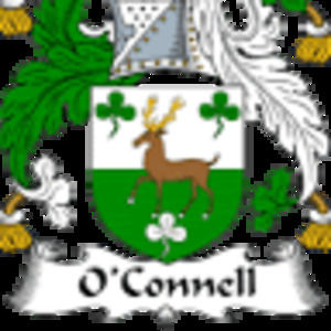 Meet your Posher, Shelby